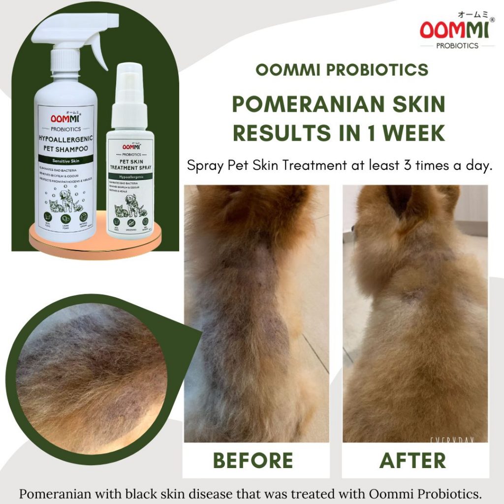 Pet Allergy Relief Trio OOMMI